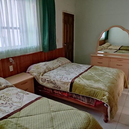 Hotel Alexandria San Cristóbal de Las Casas Dış mekan fotoğraf