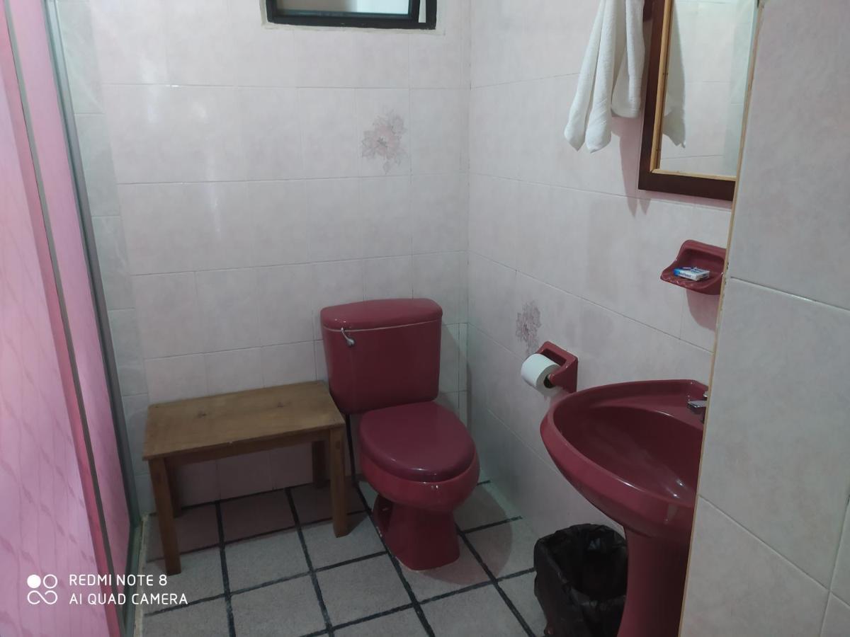 Hotel Alexandria San Cristóbal de Las Casas Dış mekan fotoğraf
